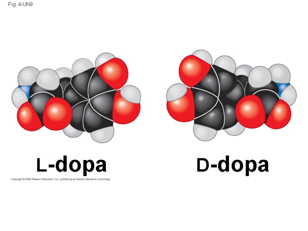 Fig. 4-UN9 L-dopa D-dopa